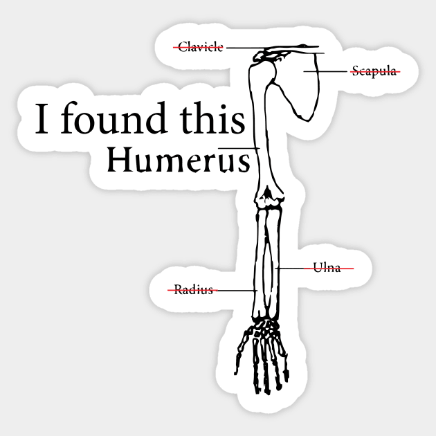 I found this Humerus Sticker by AmazingArtMandi